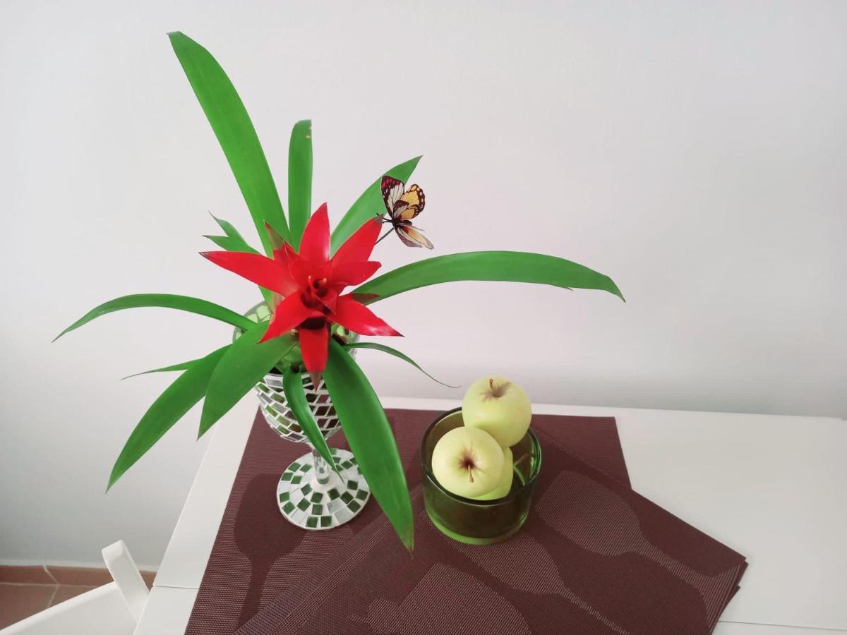 Casablanca Apartment Sardina ภายนอก รูปภาพ